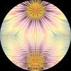 risingplanets